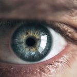 Eyes